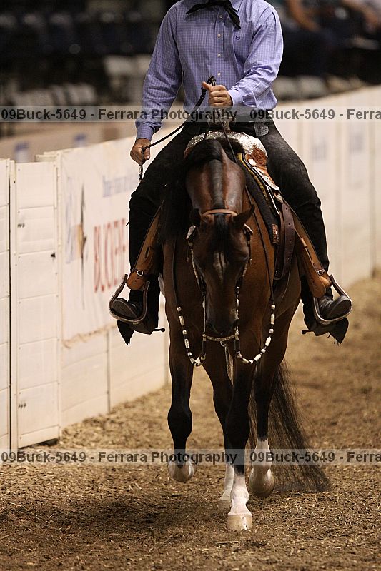 Proof Number 09buck-5649