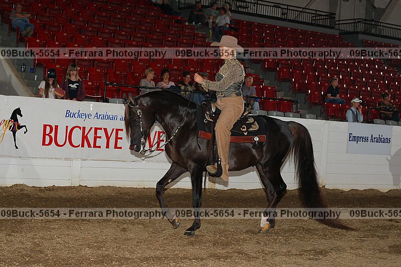 Proof Number 09buck-5654