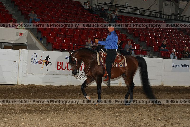 Proof Number 09buck-5659