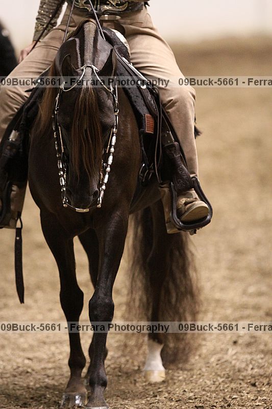 Proof Number 09buck-5661