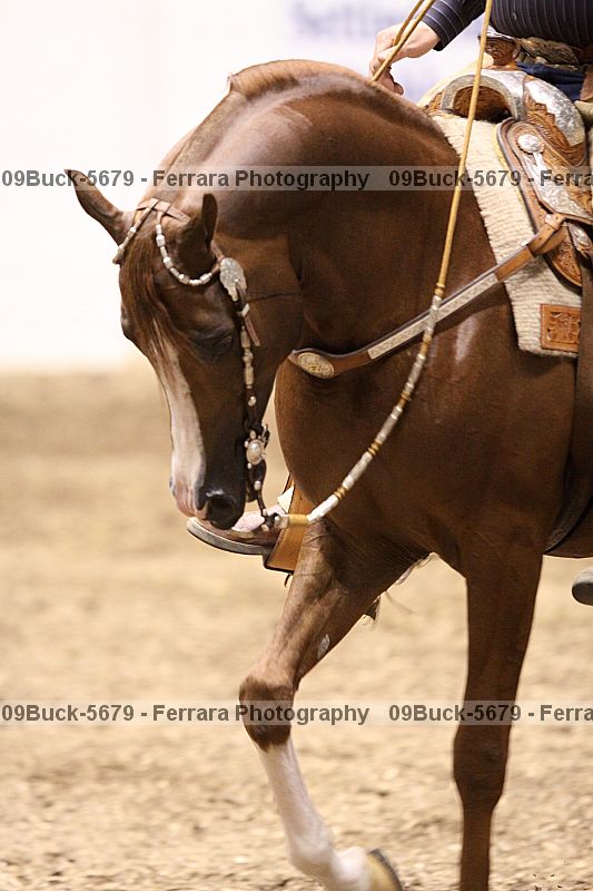 Proof Number 09buck-5679