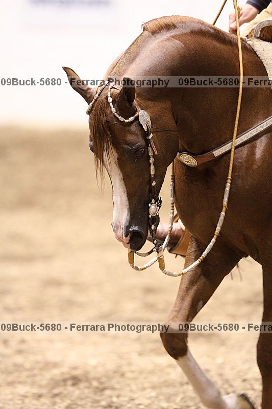 Proof Number 09buck-5680