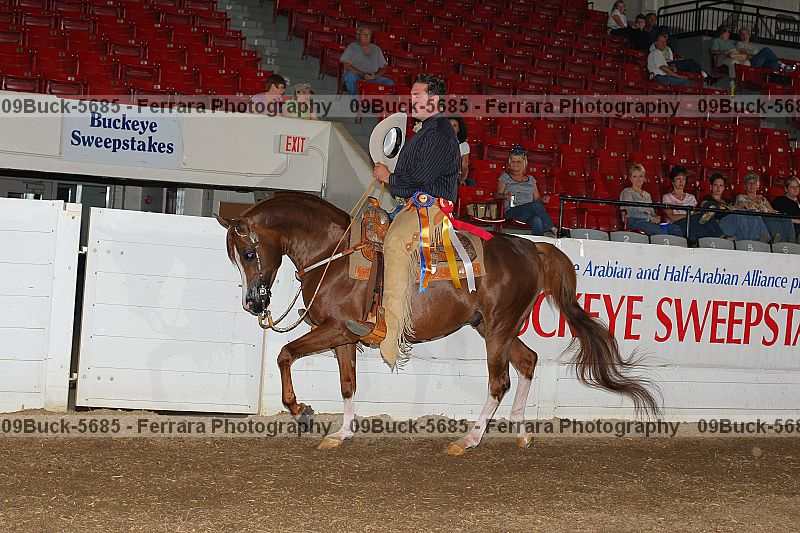 Proof Number 09buck-5685