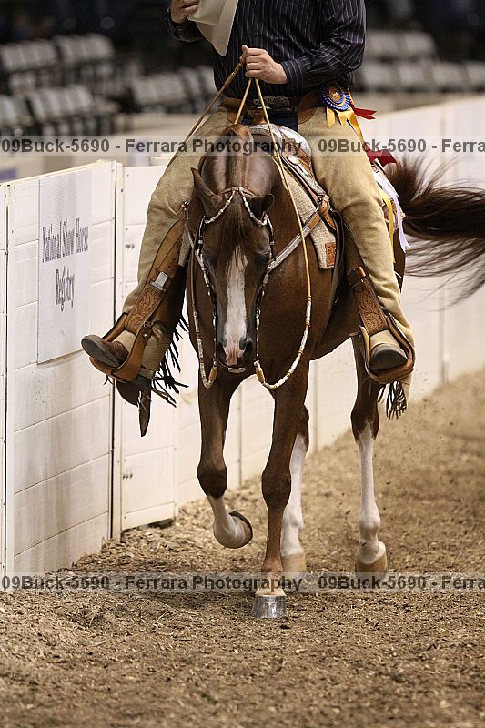 Proof Number 09buck-5690