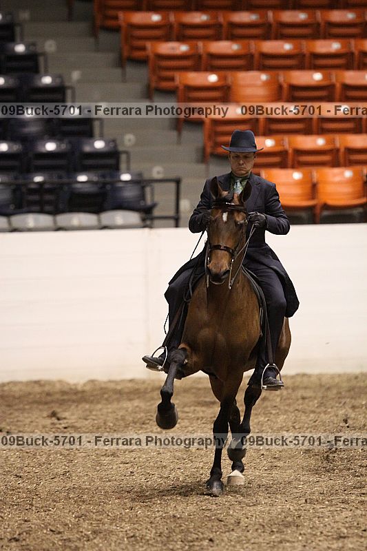 Proof Number 09buck-5701