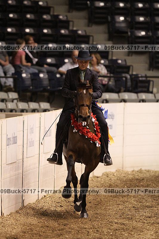 Proof Number 09buck-5717