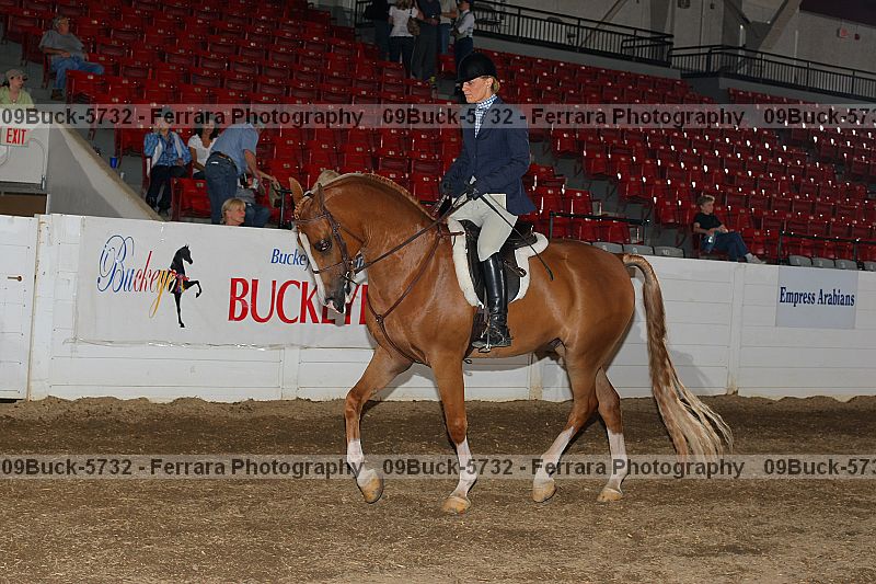 Proof Number 09buck-5732