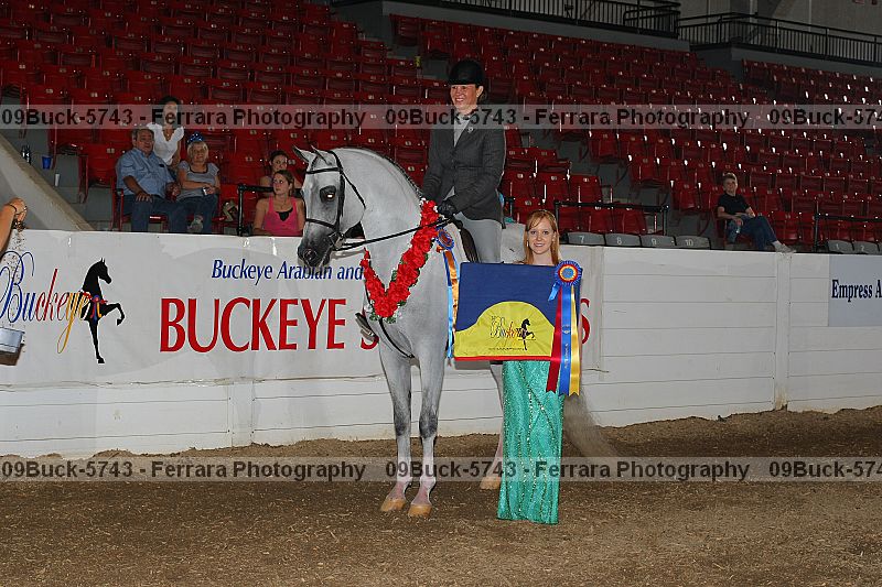 Proof Number 09buck-5743