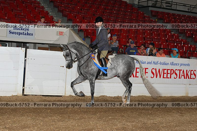 Proof Number 09buck-5752