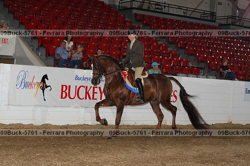 Proof Number 09buck-5761