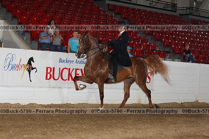 Proof Number 09buck-5790