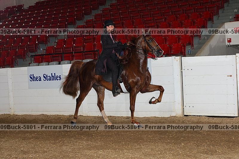Proof Number 09buck-5801