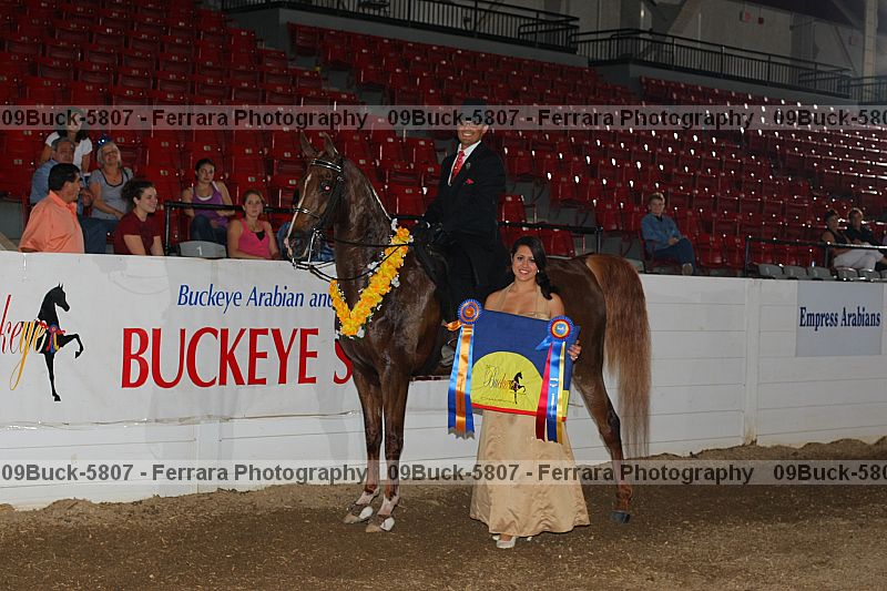 Proof Number 09buck-5807