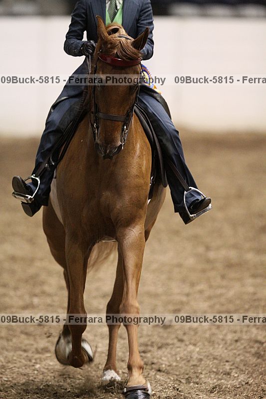 Proof Number 09buck-5815