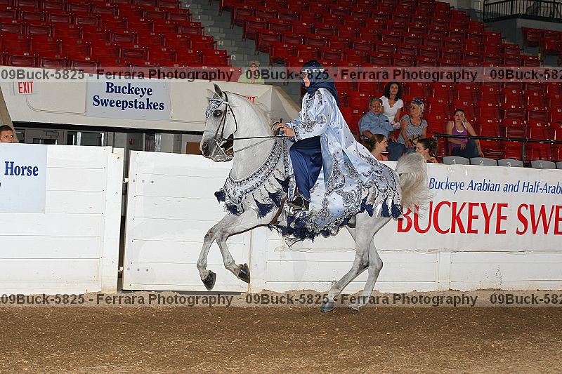 Proof Number 09buck-5825