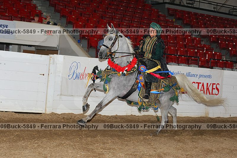 Proof Number 09buck-5849