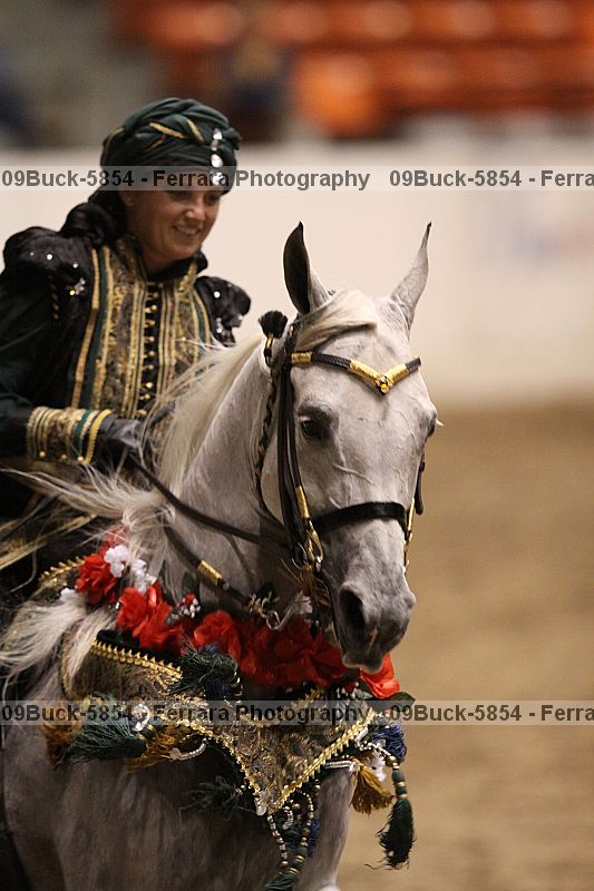 Proof Number 09buck-5854