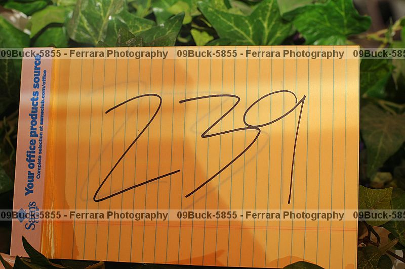 Proof Number 09buck-5855