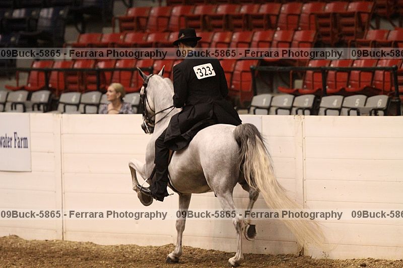 Proof Number 09buck-5865