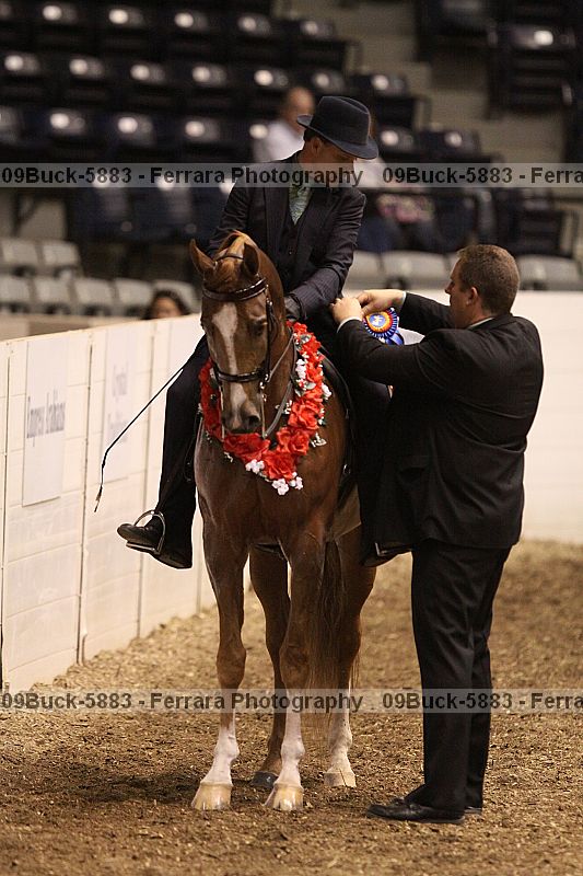 Proof Number 09buck-5883