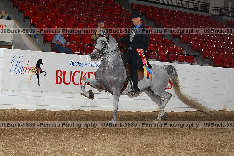 Proof Number 09buck-5889