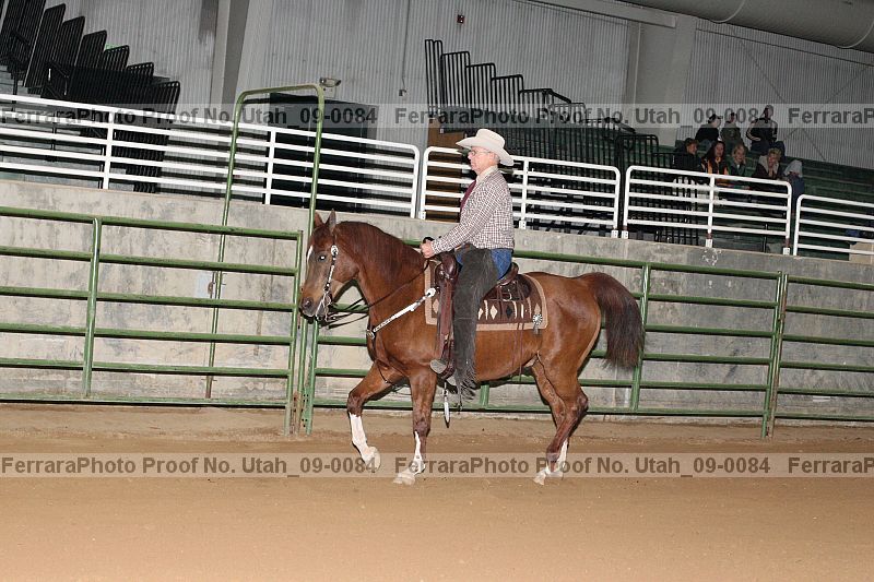 Proof Number utah_09-0084