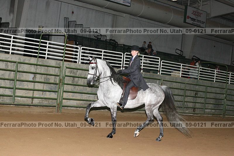 Proof Number utah_09-0121