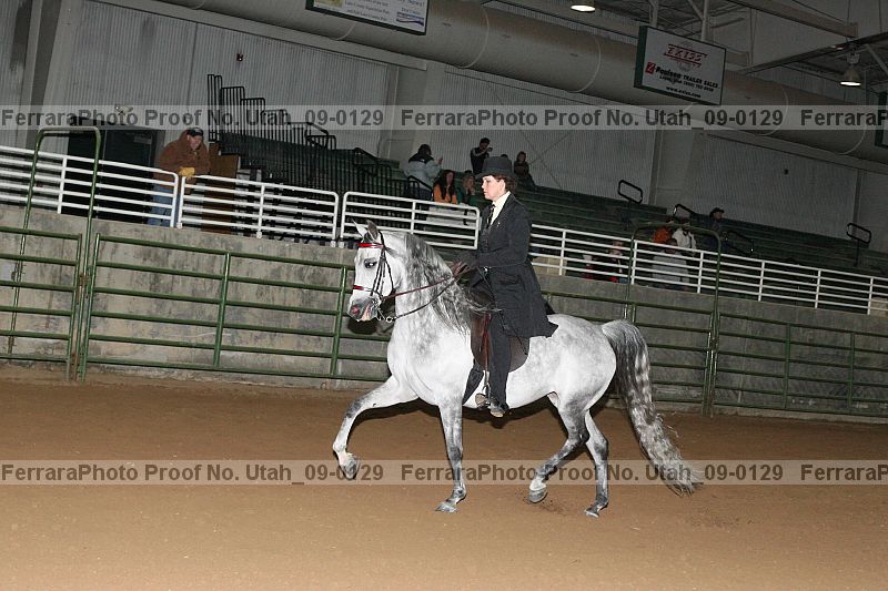 Proof Number utah_09-0129