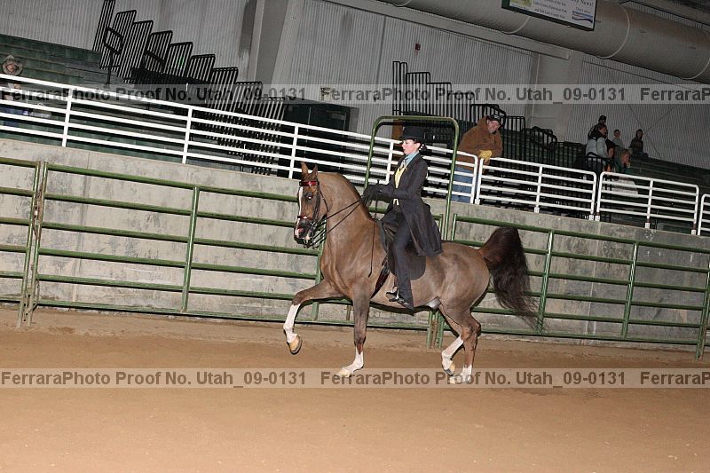 Proof Number utah_09-0131