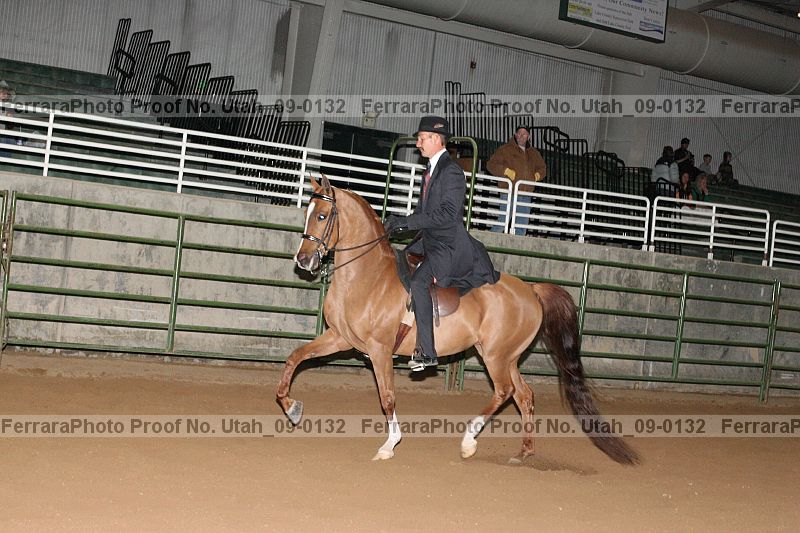 Proof Number utah_09-0132