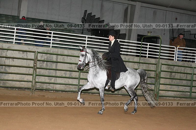 Proof Number utah_09-0133