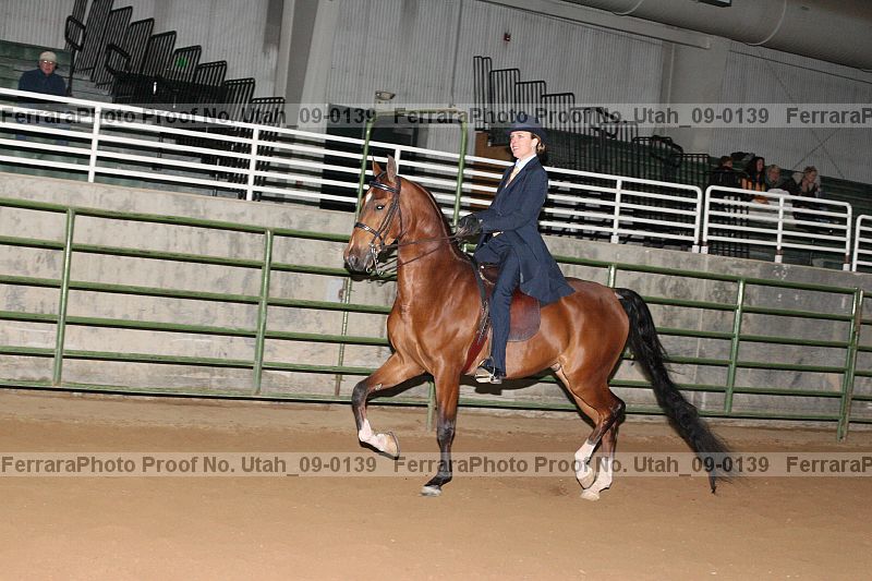 Proof Number utah_09-0139