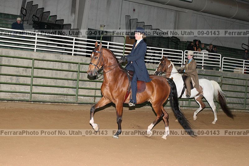 Proof Number utah_09-0143