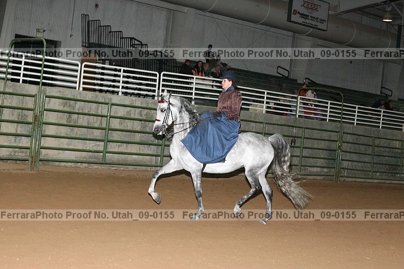 Proof Number utah_09-0155