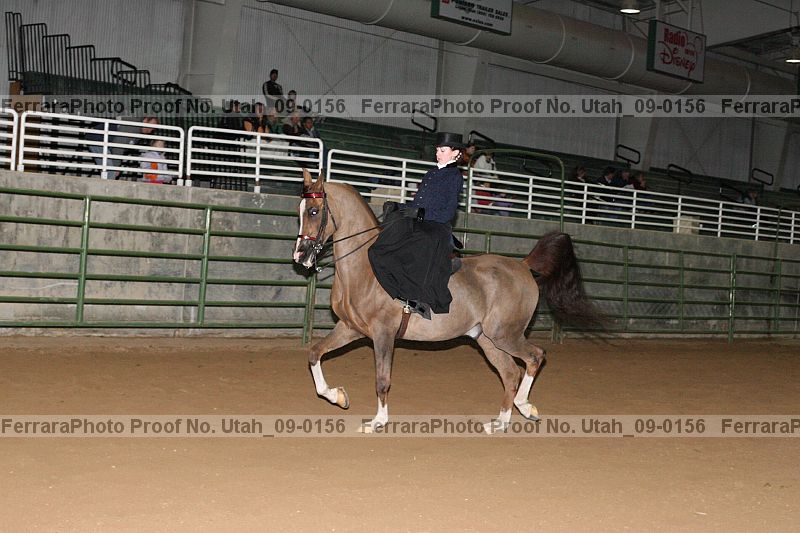 Proof Number utah_09-0156