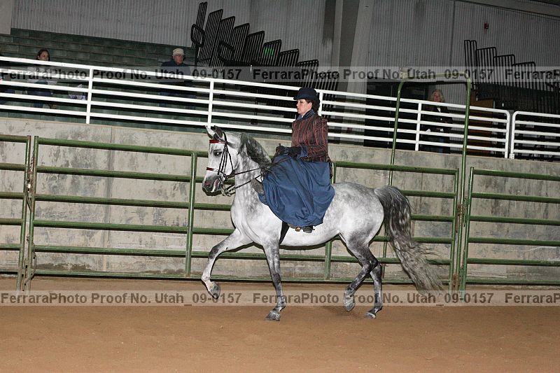 Proof Number utah_09-0157