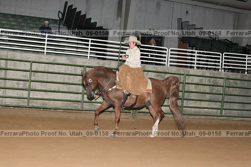 Proof Number utah_09-0158