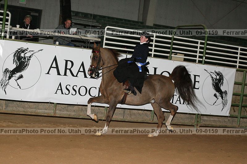 Proof Number utah_09-0159