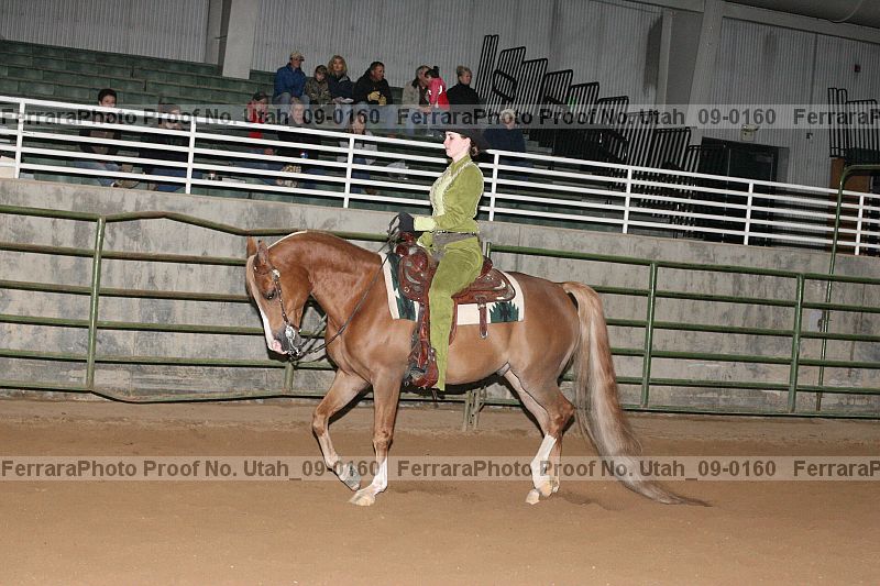 Proof Number utah_09-0160