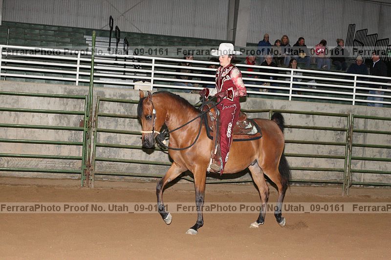 Proof Number utah_09-0161