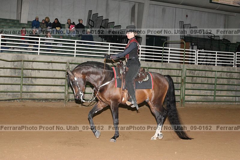 Proof Number utah_09-0162