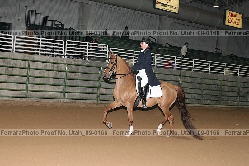 Proof Number utah_09-0166