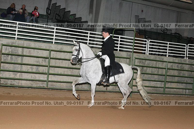 Proof Number utah_09-0167
