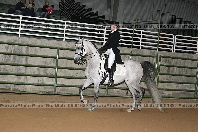 Proof Number utah_09-0168