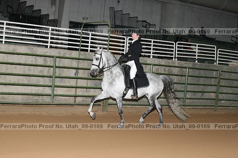 Proof Number utah_09-0169