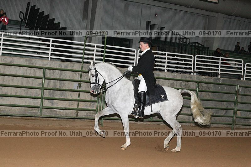 Proof Number utah_09-0170
