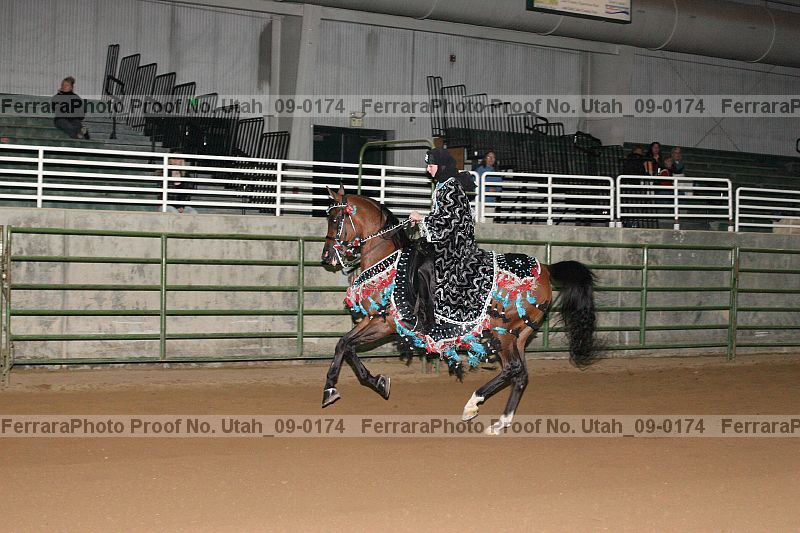 Proof Number utah_09-0174