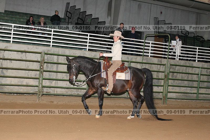 Proof Number utah_09-0189
