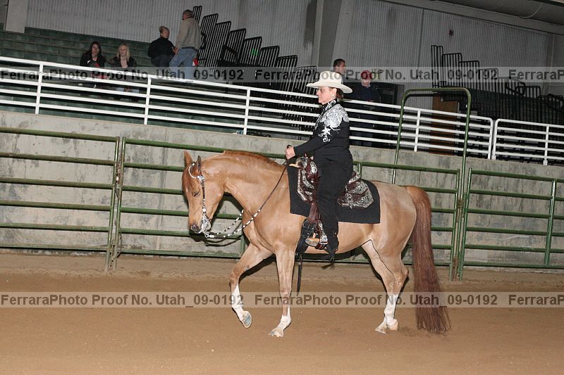 Proof Number utah_09-0192