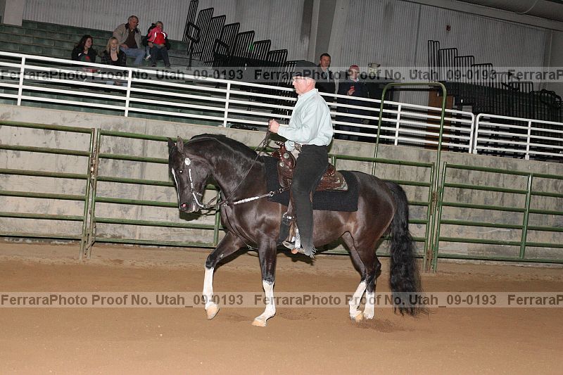 Proof Number utah_09-0193